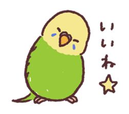 parakeet chirps by natsumi Bird Doodle, Tumblr Stickers, Paper Animals, Sketch Inspiration, Kawaii Animals, Dessin Adorable, Bird Drawings, Art Brushes, Cute Birds