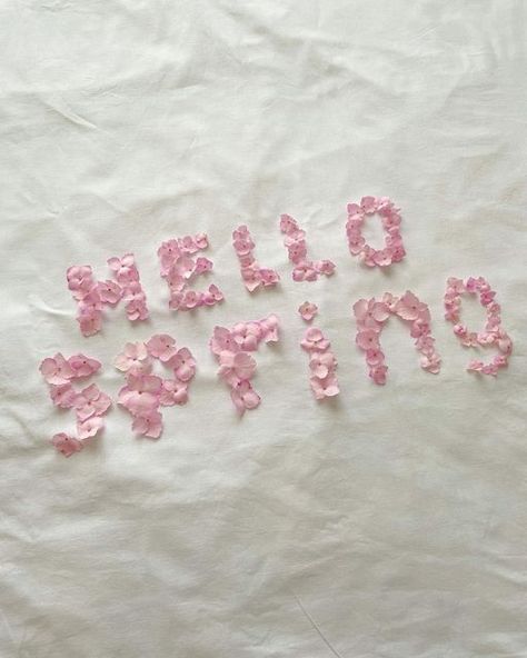 Julia | Aesthetic & food on Instagram: "𝒽𝑒𝓁𝓁𝑜 𝓈𝓅𝓇𝒾𝓃𝑔 🌸" Julia Aesthetic, Hello Spring Wallpaper, March Aesthetic, March Horoscope, Delicate Point Of View, Frasier Sterling, March Spring, Hello March, Cute Summer Wallpapers