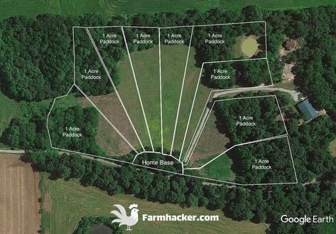 Today I want to show you the best pasture pigs rotational grazing paddock design and how you can raise pigs on pasture in a way that stewards the land well and makes your life much easier.   Introduction to My… Pasture Pigs, Pasture Shelter, Pig Shelter, Rotational Grazing, Pastured Pigs, Poultry Farm Design, Pig Waterer, Barn Layout, Raising Pigs