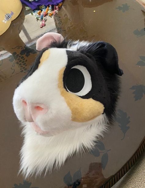 Ferret Fursuit, Snail Fursuit, Semi Realistic Fursuit, Fursuit Tail, Reptile Fursuit, Cute Fursuits, Morefurless Fursuits, Cool Fursuits, Fursuits For Sale