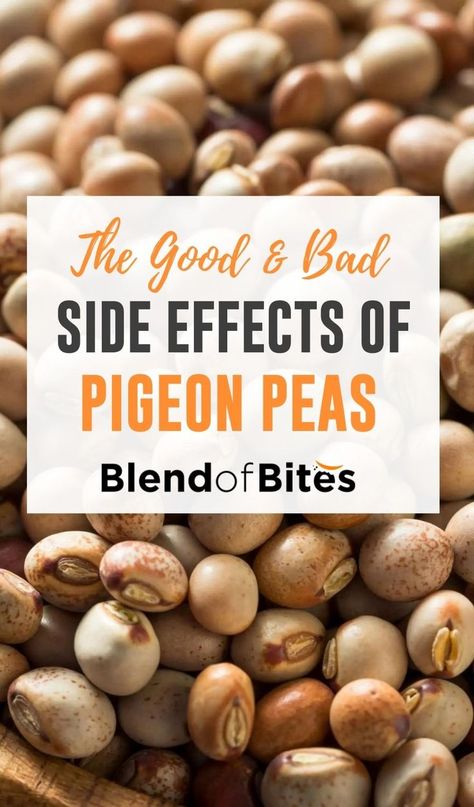 Pigeon peas are legumes that grow in many parts of Asia, Central America, and parts of Africa. Pigeon peas have a high nutritional value and have rich concentrations of vitamins and minerals. A cup of boiled pigeon peas is dense in thiamin (Vitamin B1), riboflavin, niacin (Vitamin B3), vitamin B6, vitamin B12, and folate. Check out the good and bad side effects of pigeon peas at www.blendofbites.com Pigeon Peas Soup, Pigeon Pea Recipes, Green Pigeon Peas Recipes, Split Pigeon Peas Recipe, Pigeon Peas Recipe, Peas Recipe Indian, Pigeon Peas And Rice, Dry Beans Recipe, Vegetarian Recipes Lentils