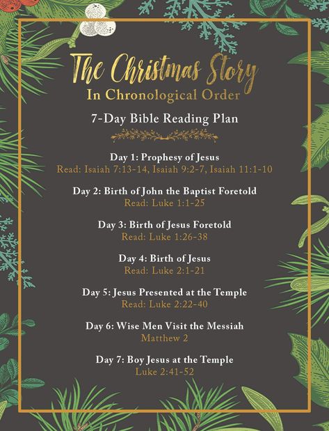 Christmas Story In The Bible, Christmas Story Bible Reading, Christmas Story Reading Plan, Christmas Bible Study For Teens, Christmas Bible Reading Plan, December Prompts, Christmas Bible Story, Christmas Story Bible, Christmas Bible Study