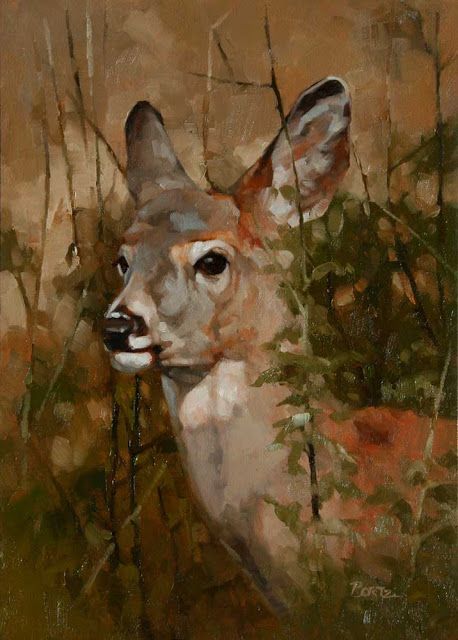 BortzArt Deer Oil Painting, Dear Watercolor, Deer Art Painting, Contemporary Wildlife Art, Deer Artwork, Animal Paintings Acrylic, Wild Animals Painting, Wildlife Painting, Oil Painting Inspiration