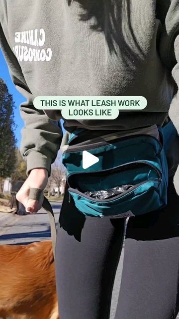 Loose Leash Walking, December 27, Dog Trainer, Dog Training, Dogs, On Instagram, Instagram