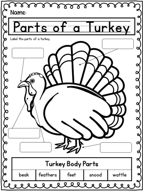 Turkey Science, Food Worksheet, November Lesson Plans, Kindergarten October, Turkey Printable, Freebies Ideas, November Classroom, Fall Lesson Plans, Thanksgiving Lessons