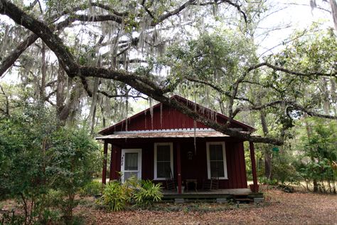 Micanopy Florida, Capital Name, Rustic Architecture, Seminole Indians, Melbourne Florida, Gainesville Florida, Live Oak Trees, Florida Art, Oak Trees