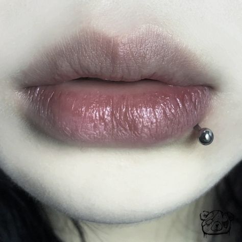 side labret piercing Piercing Labret Lateral, Side Lip Piercing, Labret Lateral, Side Labret Piercing, Under Lip Piercing, Side Labret, Lower Lip Piercing, Lips Piercing, Dream Piercings