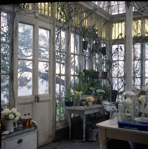 Garden room inside the Practical Magic set. Practical Magic Movie, Practical Magic House, Magical House, Magic House, Behind Blue Eyes, House Vibes, Witch House, Cabin In The Woods, Practical Magic