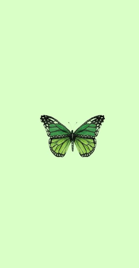 Iphone Wallpapers Aesthetic, Green Wallpaper Iphone, Mint Green Wallpaper Iphone, Slytherin Wallpaper, Wallpaper Butterfly, Iphone Background Quote, Mirror Drawings, Mint Green Wallpaper, Fairy Grunge Aesthetic