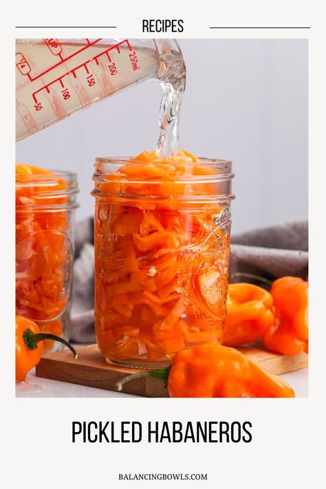 If you’re a fan of spicy food, pickled habanero peppers are a must-try addition to your culinary arsenal. These hot peppers bring a burst of flavor and heat to any dish, making them a versatile and flavourful addition to sandwiches, tacos, and even your best burgers. How To Pickle Habanero Peppers, What To Do With Habanero Peppers, Pickled Habanero Peppers, Pickling Peppers, How To Pickle Peppers, Hot Pepper Relish, Pickled Banana Peppers, Candied Jalapenos, Pepper Relish