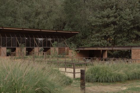 adaptability. Horses Stables, Junya Ishigami, Horse Stable, Japanese Architect, San Ramon, Roofing Systems, Horse Stables, Roof Design, Interior Design Studio