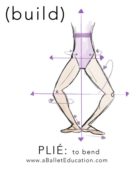 Plié #plie Ballet Education, Ballet Terms, Ballet Basics, Ballet Illustration, Ballet Stretches, Ballet Positions, Ballet Lessons, Ballet Technique, Ballet Moves