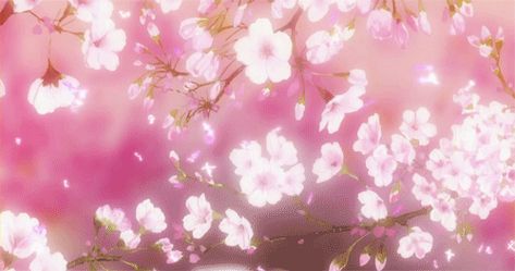 Pink Tumblr Header Gif, Pink Flower Banner Gif, Pink Live Wallpaper Pc, Pink Gif Wallpaper Pc, Pink And White Banner Gif, Sakura Banner Gif, Cherry Blossom Banner Gif, Pfp Pink Discord, Moving Wallpapers Pc