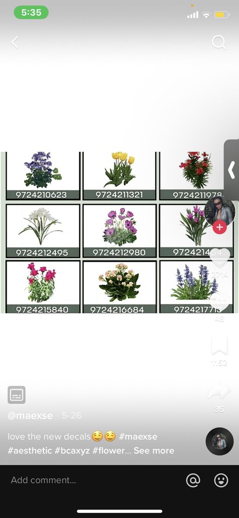 Transparent Bush Decal Bloxburg, Bloxburg Decal Plant Code, Bloxburg Realistic Flower Codes, Transparent Bloxburg Plant Decals, Bloxburg Decal Codes Flowers, Bloxburg Plant Codes Transparent, Realistic Flower Decals Bloxburg, Realistic Bloxburg Plant Decal, Blue Flower Decal Bloxburg