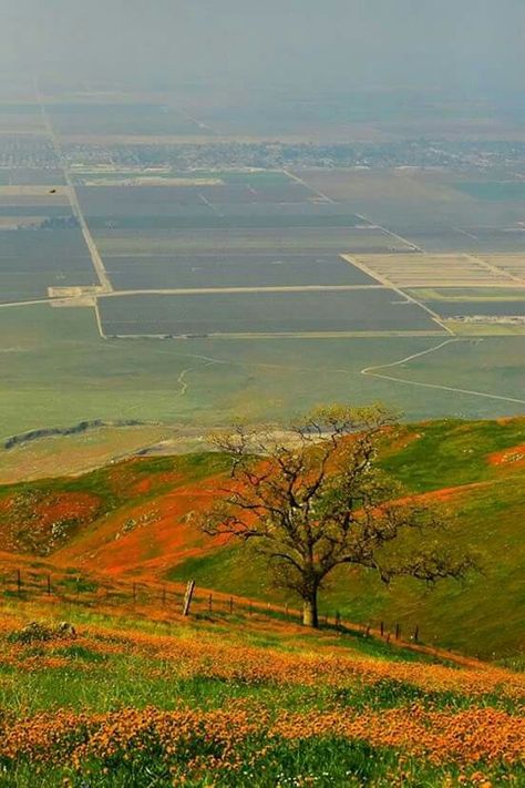 San Joaquin Valley, Bakersfield, Ca. Vampire Money, California Central Valley, Pictures Of California, Eve Babitz, Tehachapi California, Uc Merced, Central Valley California, Pathway Garden, The Four Winds