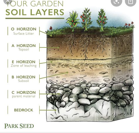 Soil Worksheet, Soil Profile, Layers Of Soil, Homestead Layout, Plants Worksheets, Soil Texture, Plant Table, Soil Layers, Better Homes And Garden