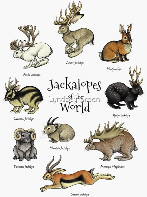 "Jackalopes of the World" Sticker by lyndseygreen | Redbubble Fantasy Species, American Folklore, Monster Creature, Arctic Tundra, Mythical Animal, Creature Drawings, Mythical Creature, Fantasy Creatures Art, Mythical Creatures Art