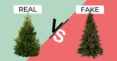 Can’t decide on a real vs. fake Christmas tree? Try one of these eco-friendly options - Greenpeace Canada Real Vs Fake Christmas Tree, Christmas Tree V, Fake Christmas Tree, Cardboard Christmas Tree, Fake Christmas Trees, Mud Water, Fake Images, Tree Family, Fake Trees