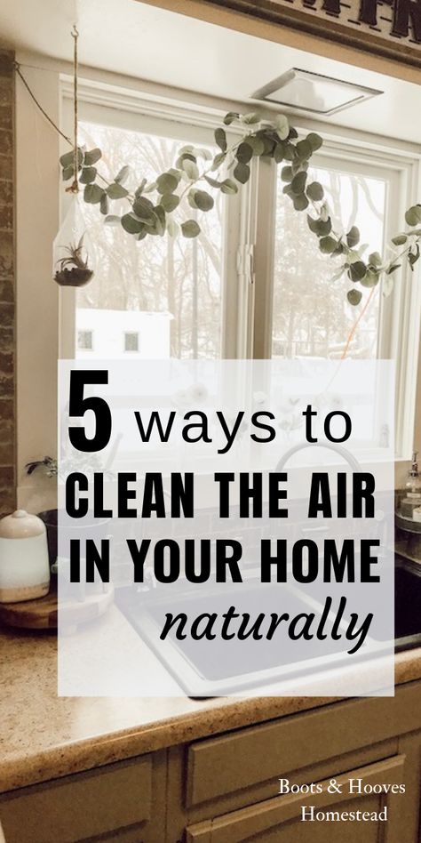 Essential Oil To Clean The Air, Nature Friendly Homes, Merry Maids Cleaning, Natural Ways To Purify The Air, Detoxing Your Home, How To Clean The Air In Your Home, How To Purify Air In Home, Dry Air In House Remedies, How To Freshen Up Your Home