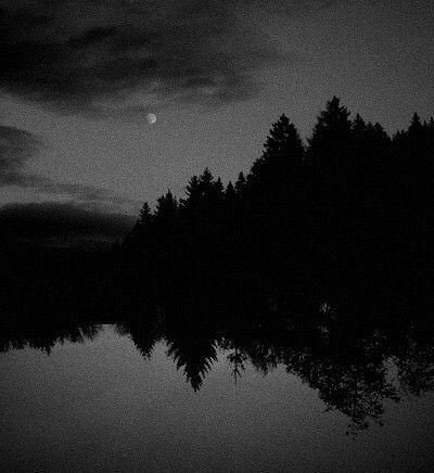 Timothy Sumer - Photography Darkness falls. Wolf Aesthetic, Dark Landscape, Dark Nature, Creepy Images, Darkness Falls, Shotting Photo, Dark Paradise, Dark Pictures, Dark Soul