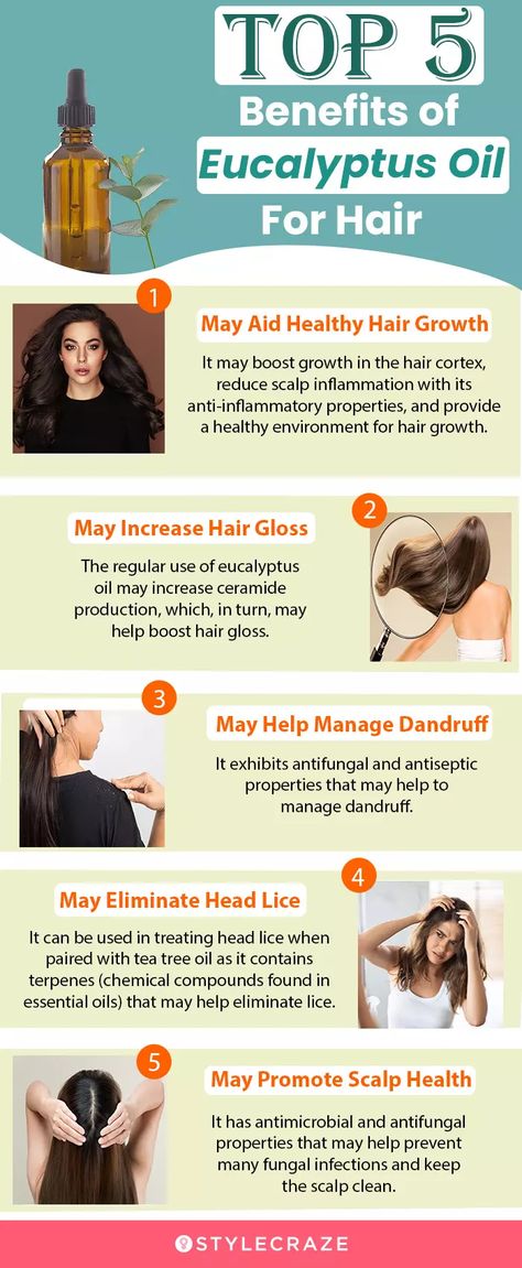 Eucalyptus Oil For Hair, Eucalyptus Oil Benefits, Eucalyptus Oil Uses, Benefits Of Eucalyptus, Pimples On Scalp, Hair Oil Benefits, Herbal Hair Growth, Natural Disinfectant, Hair Magic