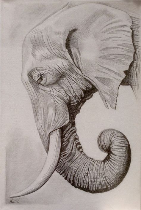 Elephant Ink Drawing, Elephant Art Drawing, Elephant Drawings, Elephant Sketch, Elephant Photography, Elephant Artwork, Pencil Drawings Of Animals, Elephant Drawing, Art Drawings Sketches Pencil