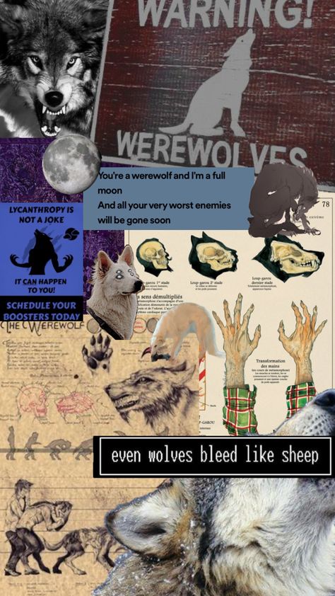 #werewolfs #wallpaper Werewolf Aesthetic Wallpaper, Wolf Aesthetic Wallpaper, Wolf Moodboard, Werewolf Wallpaper, Wolf Aesthetic, Werewolf Aesthetic, Random Wallpaper, Phone Inspo, Mythical Creatures