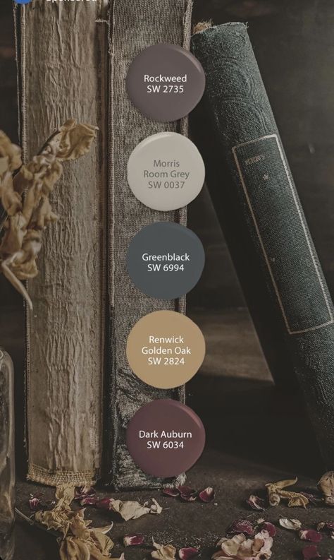 Sherwin Williams paint Moody Paint, Using Chalk Paint, House Color Palettes, Paint Color Schemes, Neutral Paint Colors, House Color Schemes, Sherwin Williams Paint Colors, 2024 Color, Color Palette Design