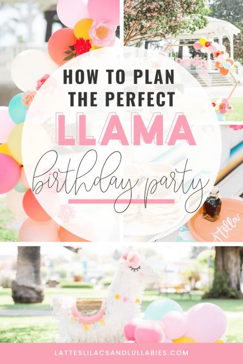 Llama  Cactus Birthday Party Ideas Fiesta Birthday Party Ideas, Cactus Birthday Party, Llama Birthday Party, Mexican Fiesta Birthday Party, Cactus Birthday, Fiesta Birthday Party, Pinterest Feed, Llama Birthday, Cactus Party