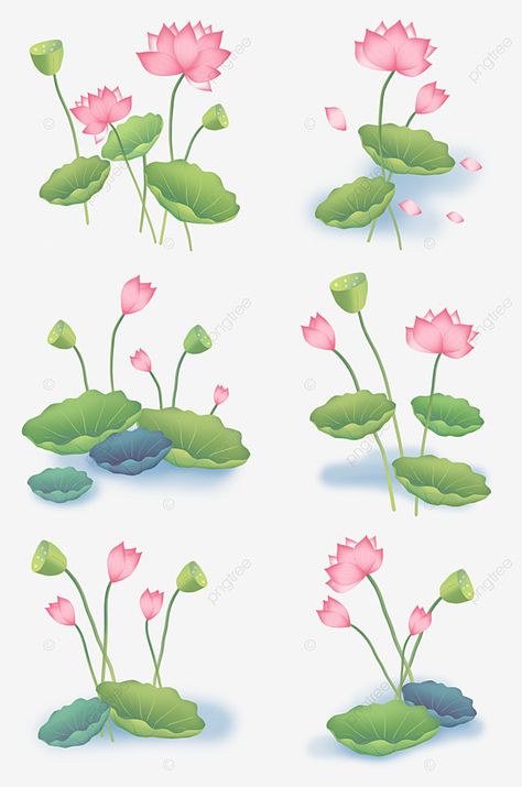 lotus,lotus leaf,lotus seed,water plant,chinese wind lotus,illustration wind lotus,leaf,flower,pink,green,plant,water hibiscus,water,petal,hibiscus Lotus Flower Illustration Design, Lotus Leaves Drawing, Lotus Leaf Drawing, Blossom Doodle, Lotus Flower Illustration, Hibiscus Water, Lotus Flower Colors, Lotus Illustration, Sketch Rose