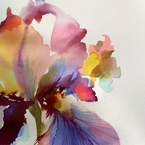 Helen Dealtry, Abstract Watercolor Flower, Watercolor Postcard, Floral Textile, Watercolor Lessons, Watercolour Inspiration, Watercolor Flower Art, Color Story, Botanical Painting