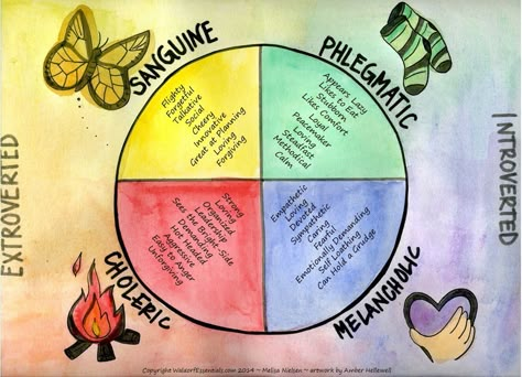 The 4 Temperaments 4 Temperaments, Waldorf Education Homeschooling, Four Temperaments, Steiner Waldorf Education, Waldorf Preschool, Waldorf Curriculum, Waldorf Teaching, Waldorf Kindergarten, Waldorf Homeschooling