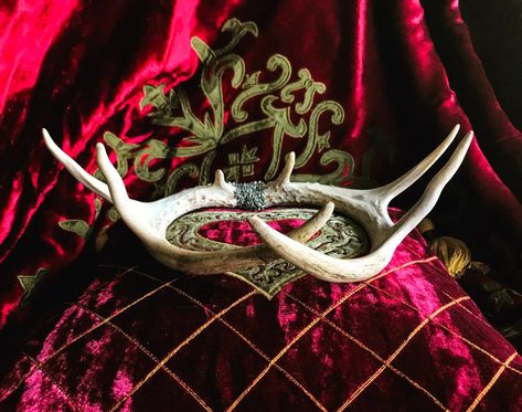 Animal Skull Decor, Antler Crown, Woodland Nymph, Deer Antler Crafts, Oddities And Curiosities, Antler Wreath, Crown Aesthetic, Deer Horns, Viking Wedding