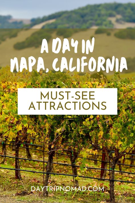 Experience the Best Things to Do in Napa Valley beyond its famous vineyards. This guide takes you through picturesque hikes, artisanal markets, and unique cultural experiences in Sonoma, offering a well-rounded day trip for all. Engage with local artisans and savor farm-to-table delicacies that highlight the region’s commitment to sustainability and quality. Best Vineyards In Napa Valley, Napa Day Trip, Napa Valley Itinerary, Things To Do In Napa, Napa Valley Vacation, Napa Valley Wine Train, Napa Valley Trip, Napa Trip, Napa Wineries