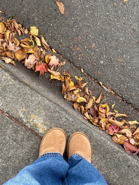 Months Aesthetic, Fall Uggs, Uggs Fall, Crunchy Leaves, Tall Uggs, Labour Day Weekend, Autumn Harvest, Fall Shoes, Fall Harvest