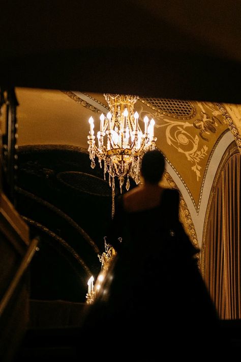 The Met Opera, Hollywood Film Aesthetic, 1920s Gatsby Aesthetic, Opera Night Aesthetic, Opera Astethic, Opulence Aesthetic, Phantom Of The Opera Aesthetic, Opera Painting, Gala Aesthetic