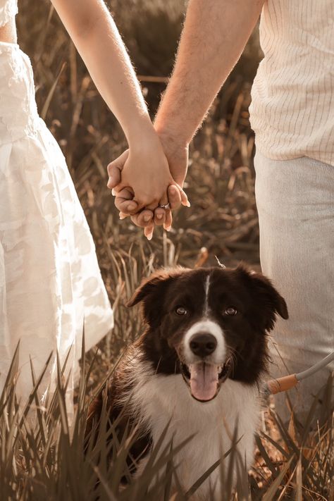 Pre Wedding Shoot With Dog, Engagement Photo Shoot With Dogs, Wedding Picture With Dog, Engagement Photo Dog, Engagement Photoshoot With Dog, Cute Animal Couples, Engagement Shoot With Dog, Couples With Dogs, Gay Photoshoot