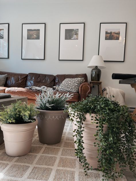 BEST FAUX PLANTS AND PLASTIC PLANT POTS AT WAYFAIR — KENDRA FOUND IT Best Faux Plants, Faux Outdoor Plants, Olive Plant, Mcgee And Co, Plastic Plant Pots, Fashion Mirror, Faux Tree, Amber Interiors, Ceramic Pots