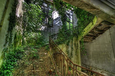 This would be such a cool place to explore! Halloween Around The World, Gothic Mansion, Abandoned City, Abandoned Castles, Abandoned Mansions, Expensive Houses, Abandoned Buildings, Back To Nature, Abandoned Places