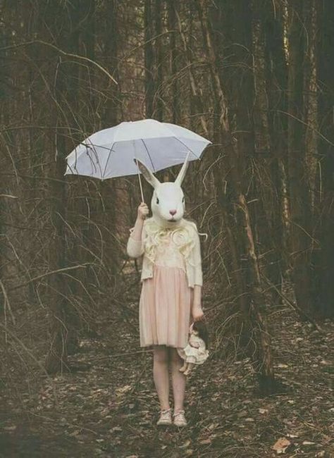 Creepy Vintage, Bunny Mask, Creepy Photos, Surrealism Photography, Creepy Art, Dark Photography, 영감을 주는 캐릭터, Creepy Cute, Art Reference Photos