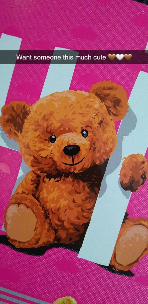 Teddy love Teddy Snap Streak, Teddy Bear Snap, Teddy Snap, Cute Snaps Ideas, Snapstreak Ideas, Story Captions, Teddy Love, Teddy Bear Quotes, Teddy Pictures