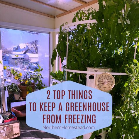 With good insulation, lots of thermal mass and a back up heating you can keep a greenhouse from freezing for winter vegetable growing up north in the cold. Greenhouse Shade Cloth, Passive Solar Greenhouse, Greenhouse Heaters, Diy Insulation, Window Greenhouse, Solar Greenhouse, Heating A Greenhouse, Winter Greenhouse, Outdoor Greenhouse