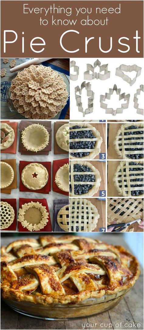 Everything you need to know about Pie Crust Pretty Pie Crust, Fancy Pie Crust, Caramel Apple Pie Recipes, Pie Crust Art, Beautiful Pie Crusts, Fruit Pizzas, Decorative Pie Crust, Dutch Babies, Pie Crust Edges