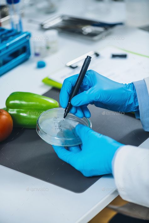 Food Safety and Quality Control Analysis in a Specialized Microbiology Laboratory by microgen. Food safety and quality analysis in a specialized microbiology laboratory, microbiologist working with fruit and vege... #Sponsored #Microbiology, #Specialized, #microgen, #Laboratory Food Scientist Aesthetic, Food Science Aesthetic, Microbiology Aesthetic, Food Microbiology, Microbiology Laboratory, Food Sampling, Food Technologist, Desk Calendar Design, Nutrition Logo