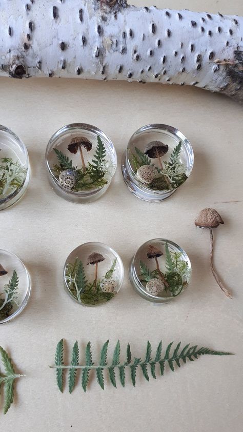 Diy Ear Plugs, Pretty Gauges, Pretty Plugs, Ear Gauges Plugs, Ear Art, Mini Terrarium, Cool Piercings, Plug Earrings, Moss Terrarium