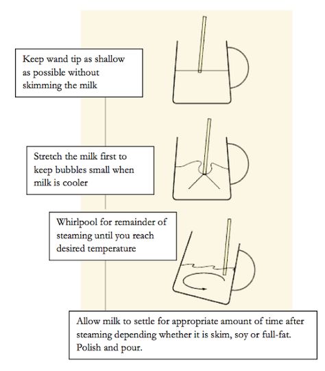 How to steam milk like a barista. How To Steam Milk, Steam Milk, Barista Training, Coffee Tips, Coffee Infographic, Barista Coffee, Coffee Latte Art, Starbucks Barista, Coffee Guide