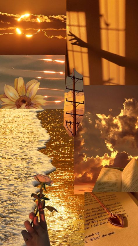 #goldenhour #mygoldenhourismymom✨💛 Soft Golden Hour Aesthetic, Orange Collage Aesthetic, Golden Hour Wallpaper, Apollo Greek, Golden Hour Aesthetic, Apollo Cabin, Double Exposure Art, Cabin 7, The Golden Boy