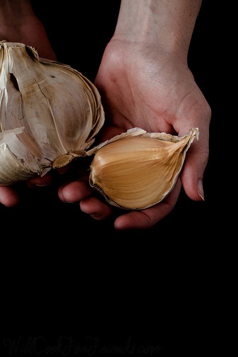 Elephant Garlic: What It Is and How To Use It | Will Cook For Friends Elephant Garlic Recipes, Challenging Recipes, Elephant Garlic, Spiral Garden, Garlic Uses, Farm Photography, Grilled Burgers, Mango Fruit, Garlic Clove