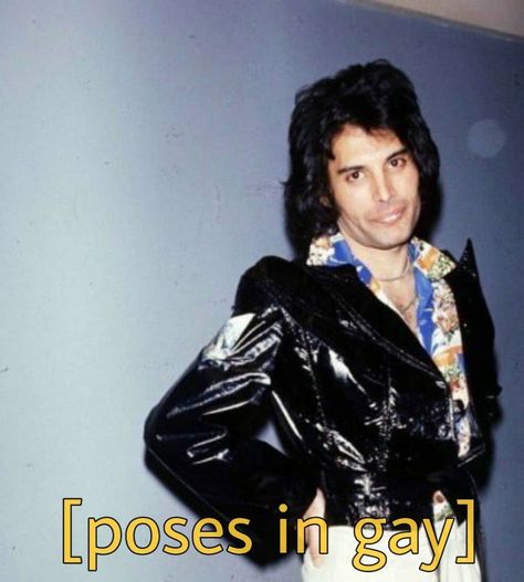 Dealor Disciple on Instagram: “i really have too many pictures of John by this point. • • • #freddiemercury #queen #nichmemes #bohemianrhapsody #rogertaylor #brianmay…” Queen David Bowie, Classic Rock Artists, Queen Funny, Queen Meme, Borhap Cast, Ben Hardy, Queen Freddie Mercury, Gay Memes, Brian May