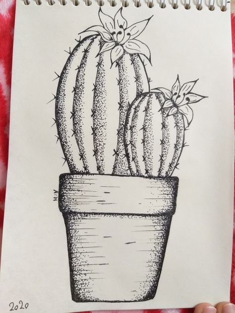 Cactus Pen Drawing, How To Draw Cactus Flowers, Potted Cactus Drawing, Cactus Ink Drawing, How To Draw A Cactus, Succulent Sketches, Succulent Drawing Sketches, Plant Sketch Pencil, Cactus Drawing Simple